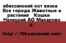 абиссинский кот вязка - Все города Животные и растения » Кошки   . Ненецкий АО,Макарово д.